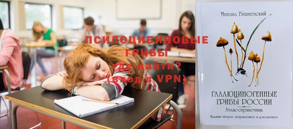 2c-b Горнозаводск
