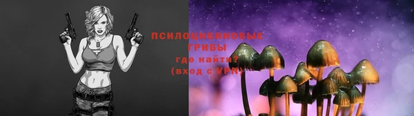 таблы Горняк