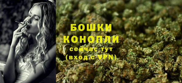 2c-b Горнозаводск