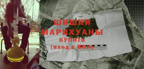 2c-b Горнозаводск