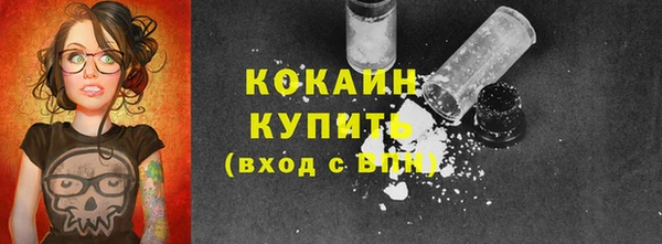2c-b Горнозаводск